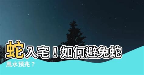 蜻蜓 預兆|蜻蜓入宅有何含義？風水師解釋